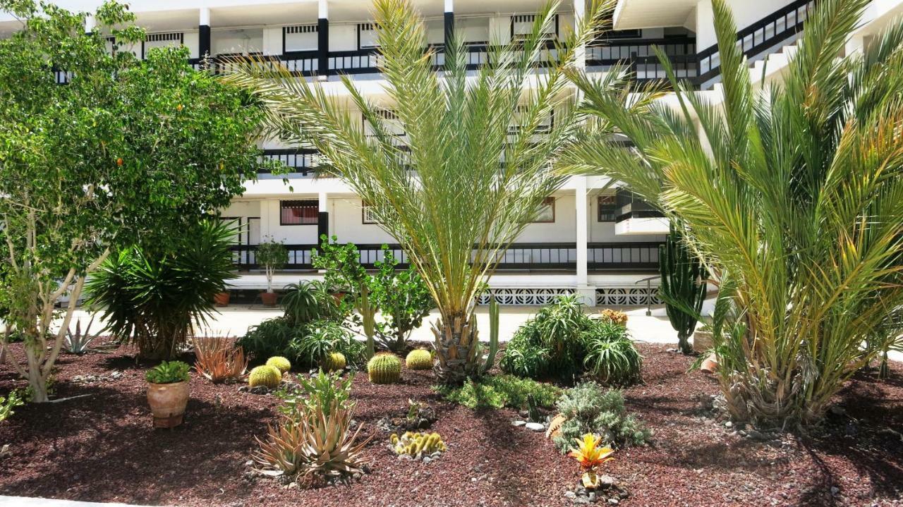 Appartement 100 Meters From The Ocean à Callao Salvaje Extérieur photo